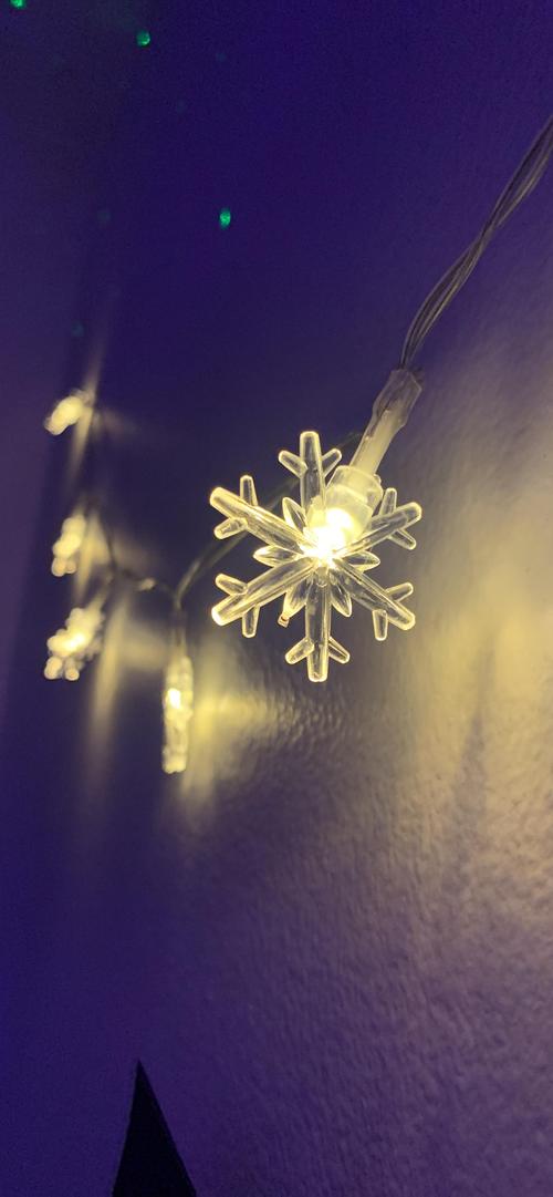  Warm White Snowflake Christmas Lights for Indoor and Outdoor Decorations photo review
