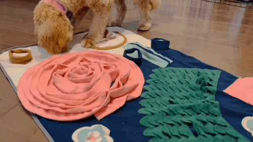 https://katycraftimage.s3.eu-west-2.amazonaws.com/snuffle-mat-for-dogs-interactive-feed-game-with-non-slip-bottom-pad-dog-treats-feeding-mat-encourages-natural-foraging-skills-92857677-343890-desc-OEOEY03UOT.gif