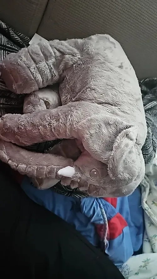 Soft Elephant Plush Pillowcase for Kids Room Decor photo review