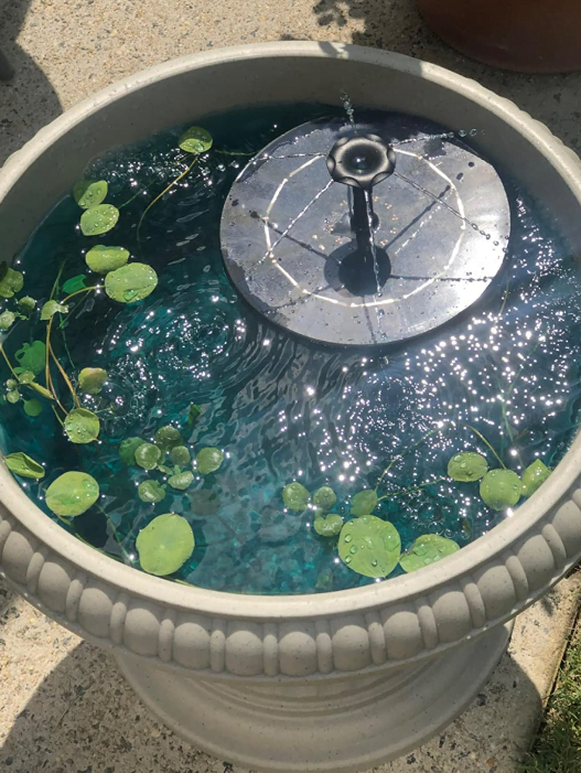 Solar Fountain Water Outdoor Garden Circular Floating Water Landscape photo review