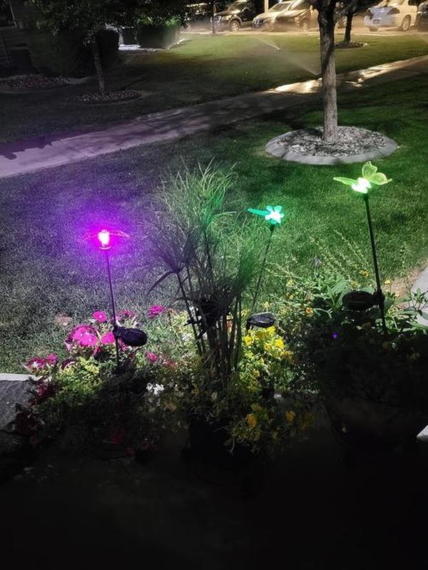 Solar Garden Lights, Solar Bird,Butterfly,Dragonfly Lights Solar Christmas Decorations, Multi-Color Changing LED Solar Light Stakes photo review