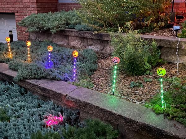 6-Pack Solar Halloween Pumpkin Garden Stake Lights, Solar Halloween Yard Stake Outdoor Waterproof Halloween Lighted Pumpkin Lights photo review