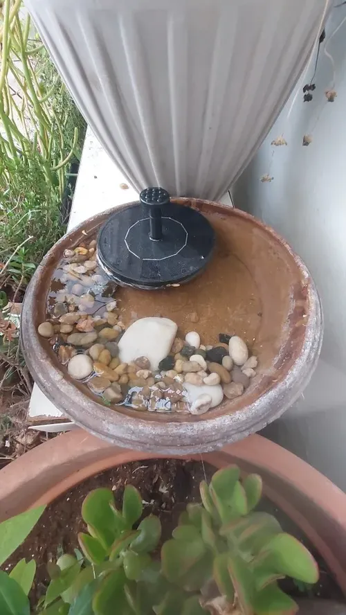 Solar Powered Fountain Pump with Nozzles for Garden & Ponds photo review