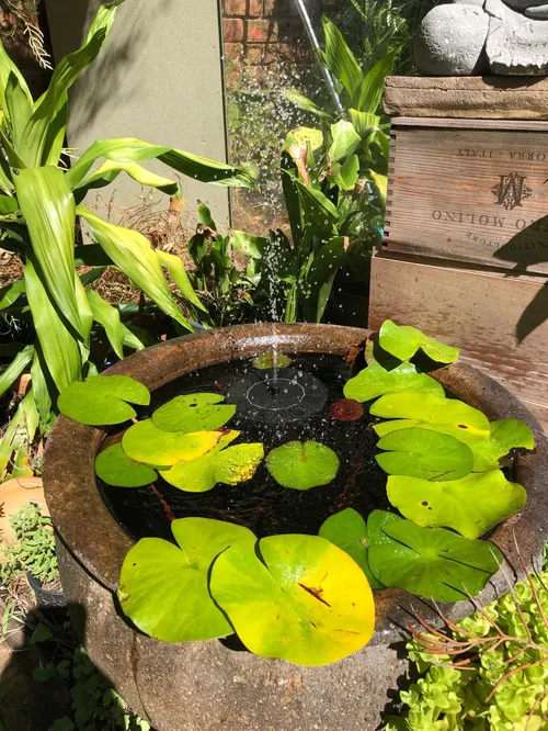 Solar Powered Fountain Pump with Nozzles for Garden & Ponds photo review