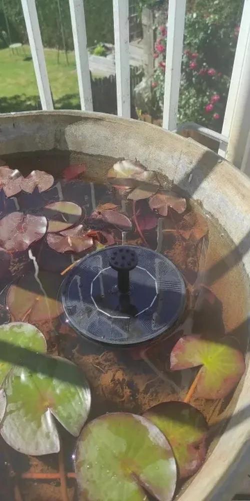 Solar Powered Fountain Pump with Nozzles for Garden & Ponds photo review