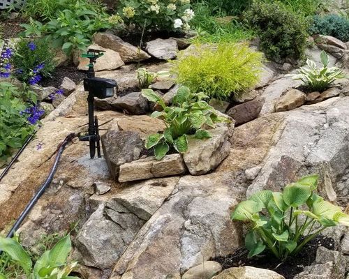 Solar Powered Motion Activated Animal Repellent Garden Sprinkler photo review