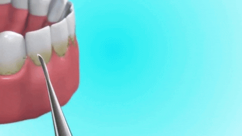 Ultrasonic Electric Teeth Cleaner with LED Light