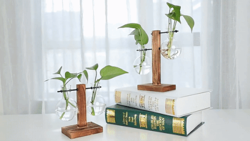 Vintage Terrarium Hydroponic Plant Vases for Home Decor
