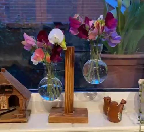Vintage Terrarium Hydroponic Plant Vases for Home Decor photo review