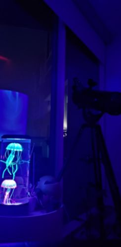 The Hypnotic Jellyfish Aquarium photo review