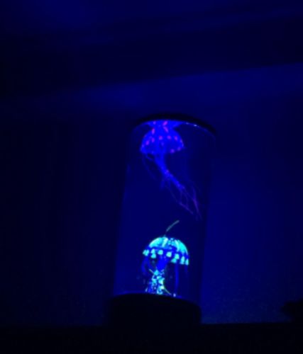 The Hypnotic Jellyfish Aquarium photo review