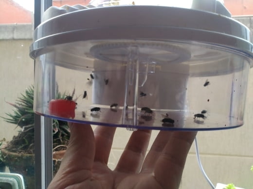 The Worlds Best Usb Silent Fly Trap photo review