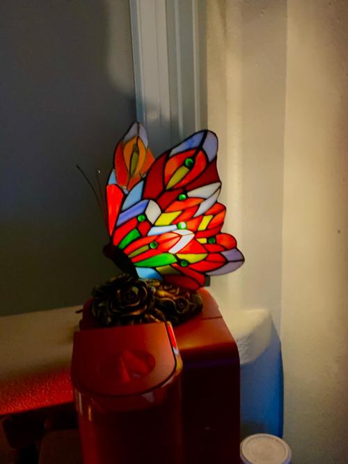 Butterfly Table Lamp - Stained Glass Hotel Decor Night Light photo review