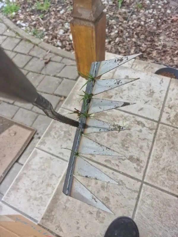 The Heavy Duty Iron Weeding Rake, Garden Weeding Tools photo review