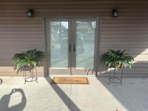 Uv Resistant Lifelike Artificial Boston Fern For Outdoors photo review